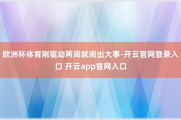 欧洲杯体育刚驱动两周就闹出大事-开云官网登录入口 开云app官网入口