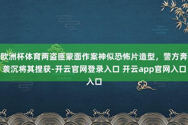欧洲杯体育两盗匪蒙面作案神似恐怖片造型，警方奔袭沉将其捏获-开云官网登录入口 开云app官网入口