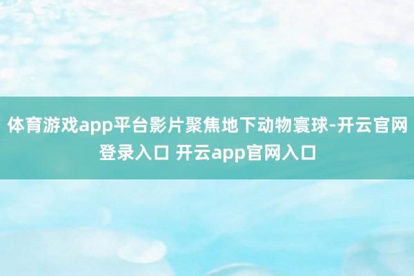 体育游戏app平台影片聚焦地下动物寰球-开云官网登录入口 开云app官网入口