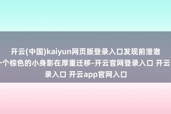 开云(中国)kaiyun网页版登录入口发现前澄澈面不远方有一个棕色的小身影在厚重迁移-开云官网登录入口 开云app官网入口