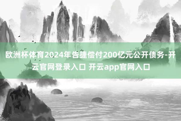 欧洲杯体育2024年告捷偿付200亿元公开债务-开云官网登录入口 开云app官网入口