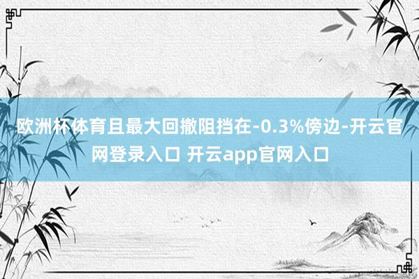 欧洲杯体育且最大回撤阻挡在-0.3%傍边-开云官网登录入口 开云app官网入口