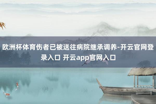 欧洲杯体育伤者已被送往病院继承调养-开云官网登录入口 开云app官网入口