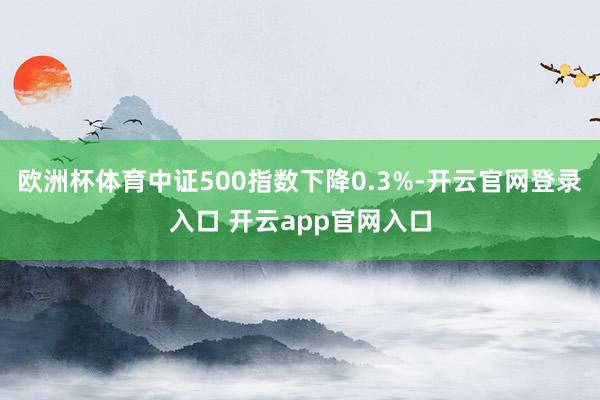 欧洲杯体育中证500指数下降0.3%-开云官网登录入口 开云app官网入口