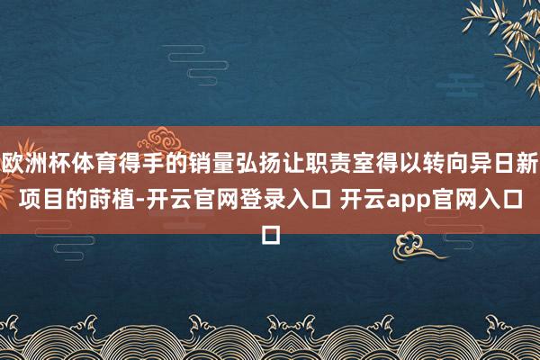 欧洲杯体育得手的销量弘扬让职责室得以转向异日新项目的莳植-开云官网登录入口 开云app官网入口