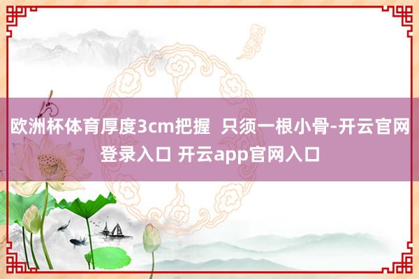 欧洲杯体育厚度3cm把握 只须一根小骨-开云官网登录入口 开云app官网入口
