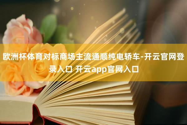 欧洲杯体育对标商场主流通顺纯电轿车-开云官网登录入口 开云app官网入口