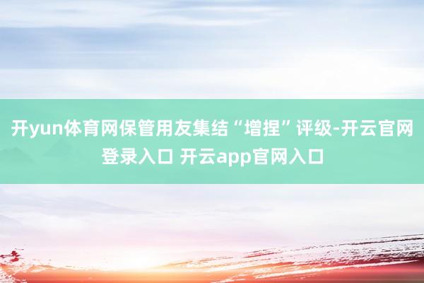 开yun体育网保管用友集结“增捏”评级-开云官网登录入口 开云app官网入口